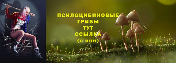 трава Белокуриха