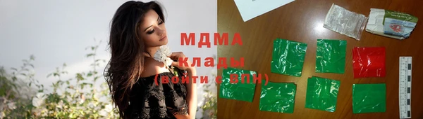 трава Белокуриха
