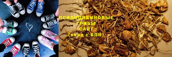 трава Белокуриха